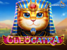 Gaminator casino slot makinesi74